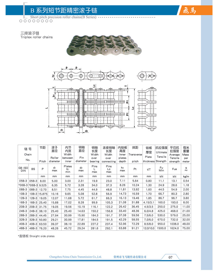 B系列短節(jié)距精密滾子鏈